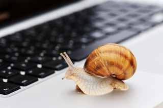 Slow connection as a snail