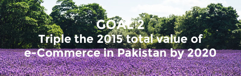 Goal 2 - Realising Digital Pakistan