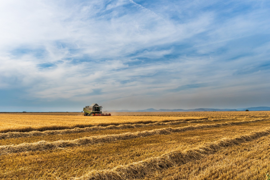 Field - Crop