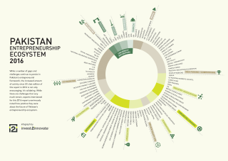 Invest2Innovate Pakistan Entrepreneurship Report 2016