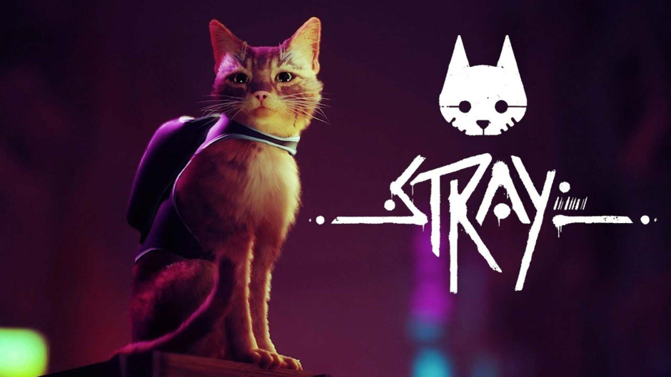 Stray Game