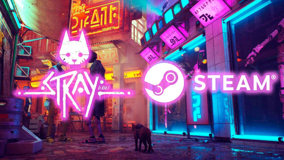 stray-steam-