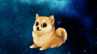 Doge coin