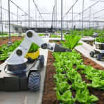 Smart Farms