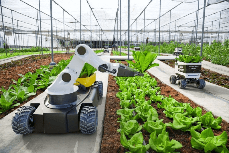 Smart Farming Solutions: Revolutionizing Agriculture for the Future