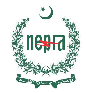 Nepra net mertering