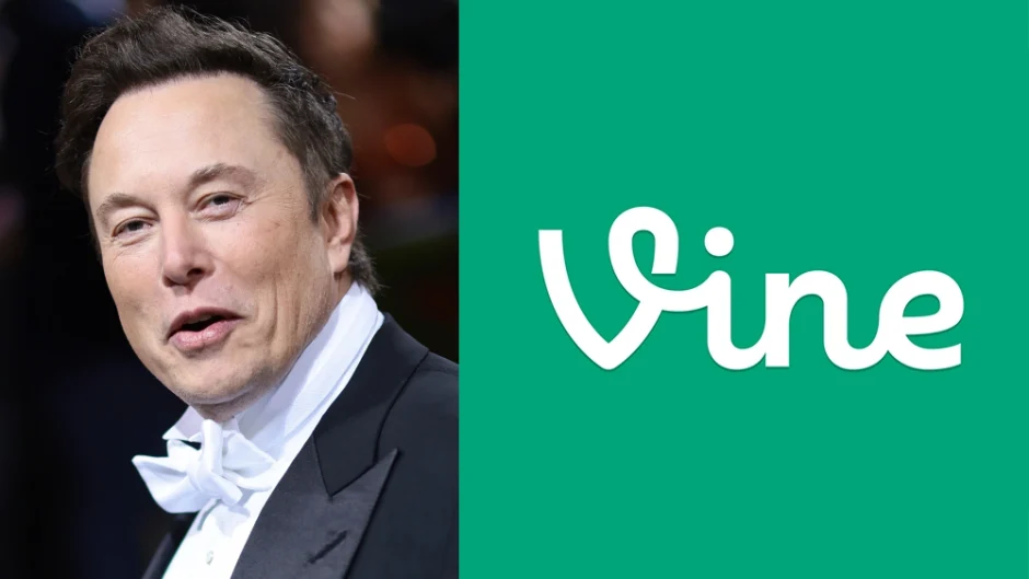 vine