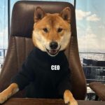 ceo