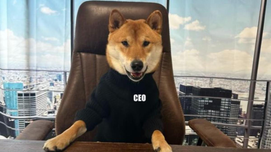 ceo