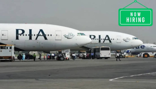 Pia Invites Applications For Ceo Role