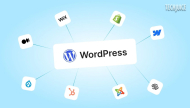 Best Wordpress Alternatives To Build Your Website