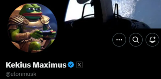 Elon Musk Updates His Name To Kekius Maximus On X 