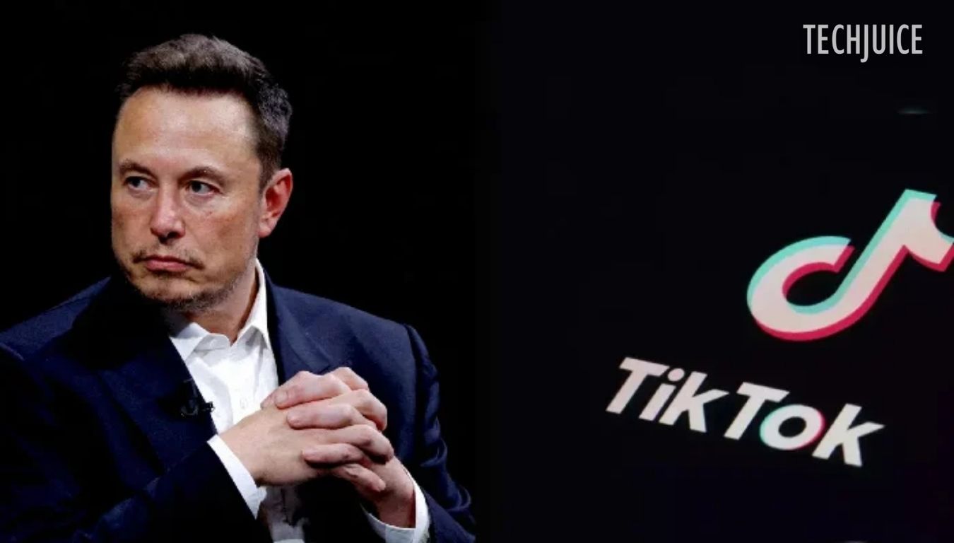 Elon Musk: No Plans to Buy TikTok